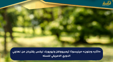 «إثارة وجنون» مينيسوتا تيمبروولفز ونيويورك نيكس يقتربان من نهائي الدوري الأمريكي للسلة